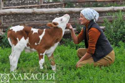 Определены победители конкурса грантов на развитие семейных ферм