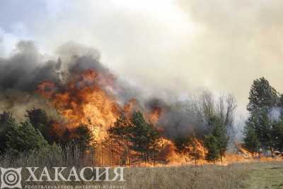 В Боградском лесничестве почти сутки тушили лесной пожар