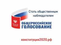 В Хакасии будет более 1000 наблюдателей на голосовании по правкам в Конституцию