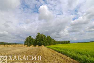 В посевную кампанию вступили все районы Хакасии