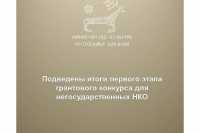 НКО Хакасии активно участвуют в грантовом конкурсе