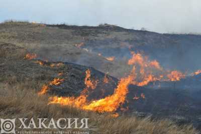 Армия помогает Хакасии в опашке населенных пунктов