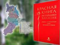 В Хакасии обнаружены 11 новых видов растений