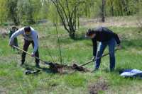 В Абакане появится «Аллея предпринимательства»