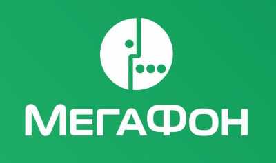 Таможня Тувы продолжит сотрудничество с «МегаФоном»