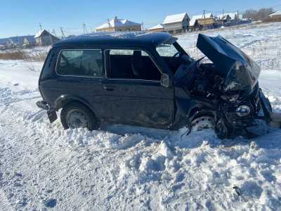 В Абакане Нива влетела в столб