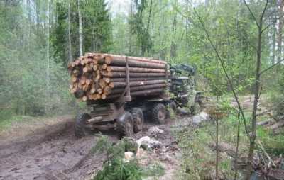 В Хакасии прошла операция &quot;Лесовоз&quot;