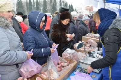 В канун выборов в Черногорске пройдет сельхозярмарка