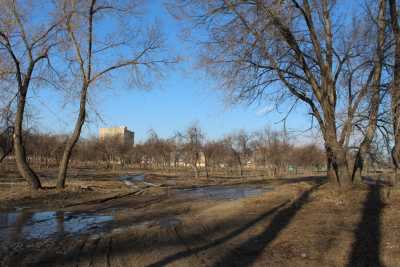 В абаканском парке появятся новые аллеи