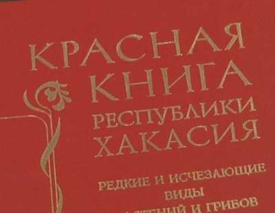 Больше о Красной книге Хакасии узнают читатели главной библиотеки республики