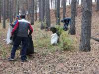 Экодесант высадился в Бондаревском бору