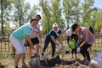 Сделать город красивее: в Саяногорске появилась еще одна аллея