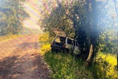 Пьяный подросток на «Оке» врезался в дерево в селе Хакасии