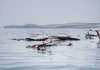 Экстремально низкая водность сохраняется