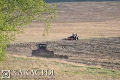 Посевная кампания в Хакасии проходит без срывов