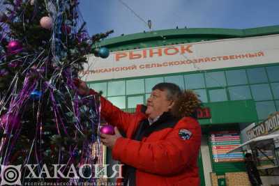 В Хакасии на «Ёлке добра» взрослые превратились в добрых волшебников