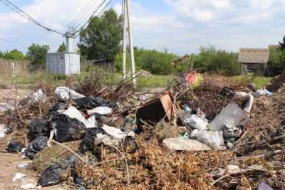 В Подсинем полигон для отходов засадят деревьями