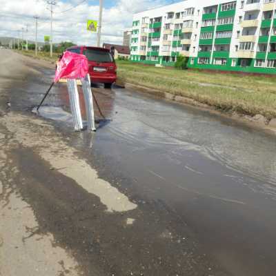 Черногорцы хотят сажать картошку в ямы на дорогах