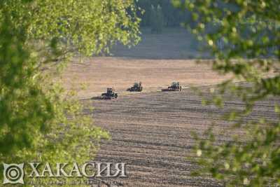 Погоде вопреки: в Хакасии посевная кампания идет полным ходом