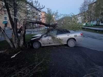 В Хакасии иномарка слетела с трассы, врезалась в дерево и загорелась