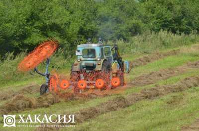 В Хакасии год выдался урожайным