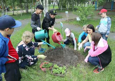 В акции «Цветочная клумба» приняли участие 30 ребят. Они украсили пришкольный двор пятью цветниками.