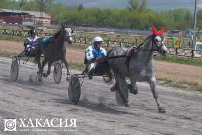 Конноспортивный комплекс появится в Хакасии